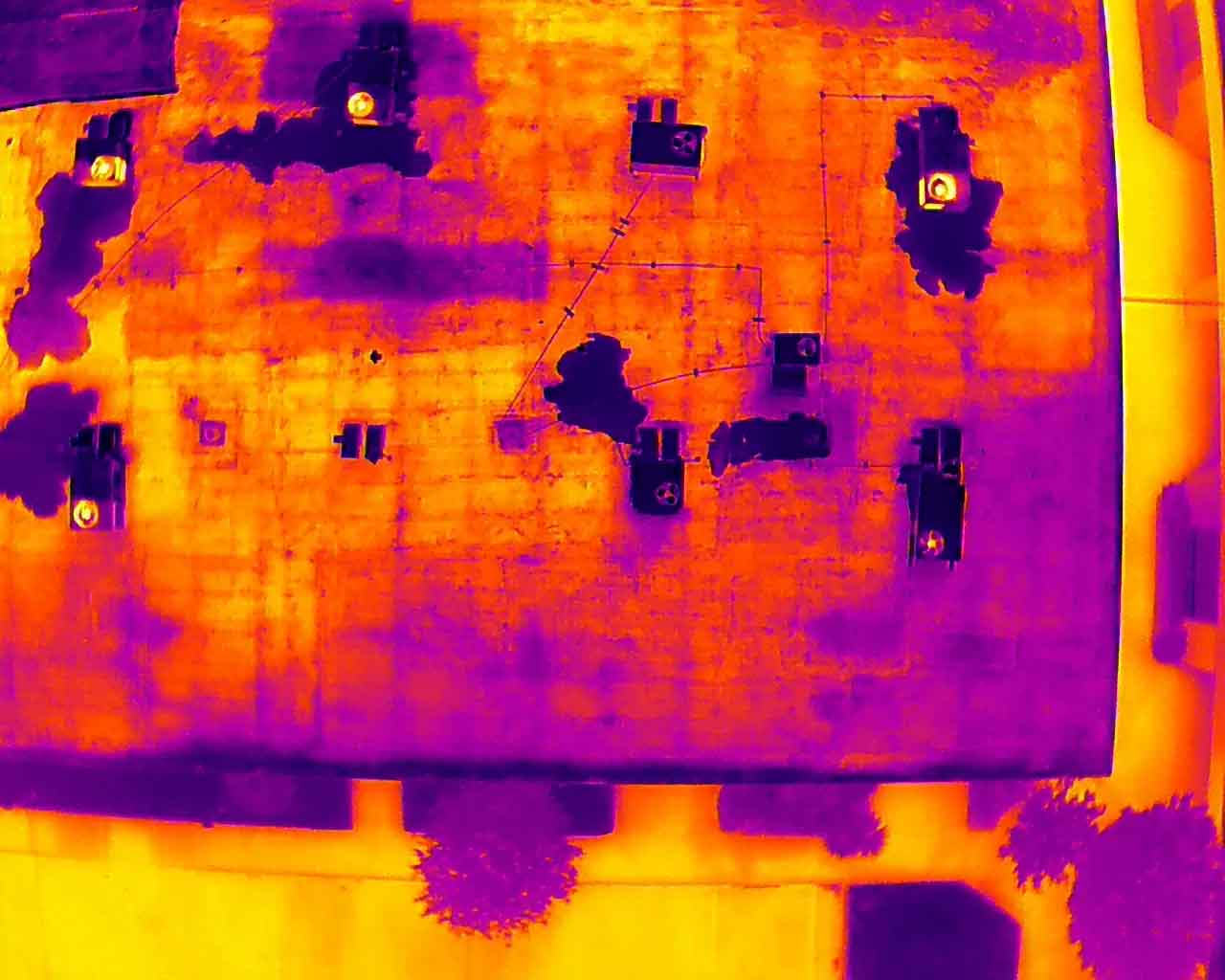Therma Photo to show affected areas