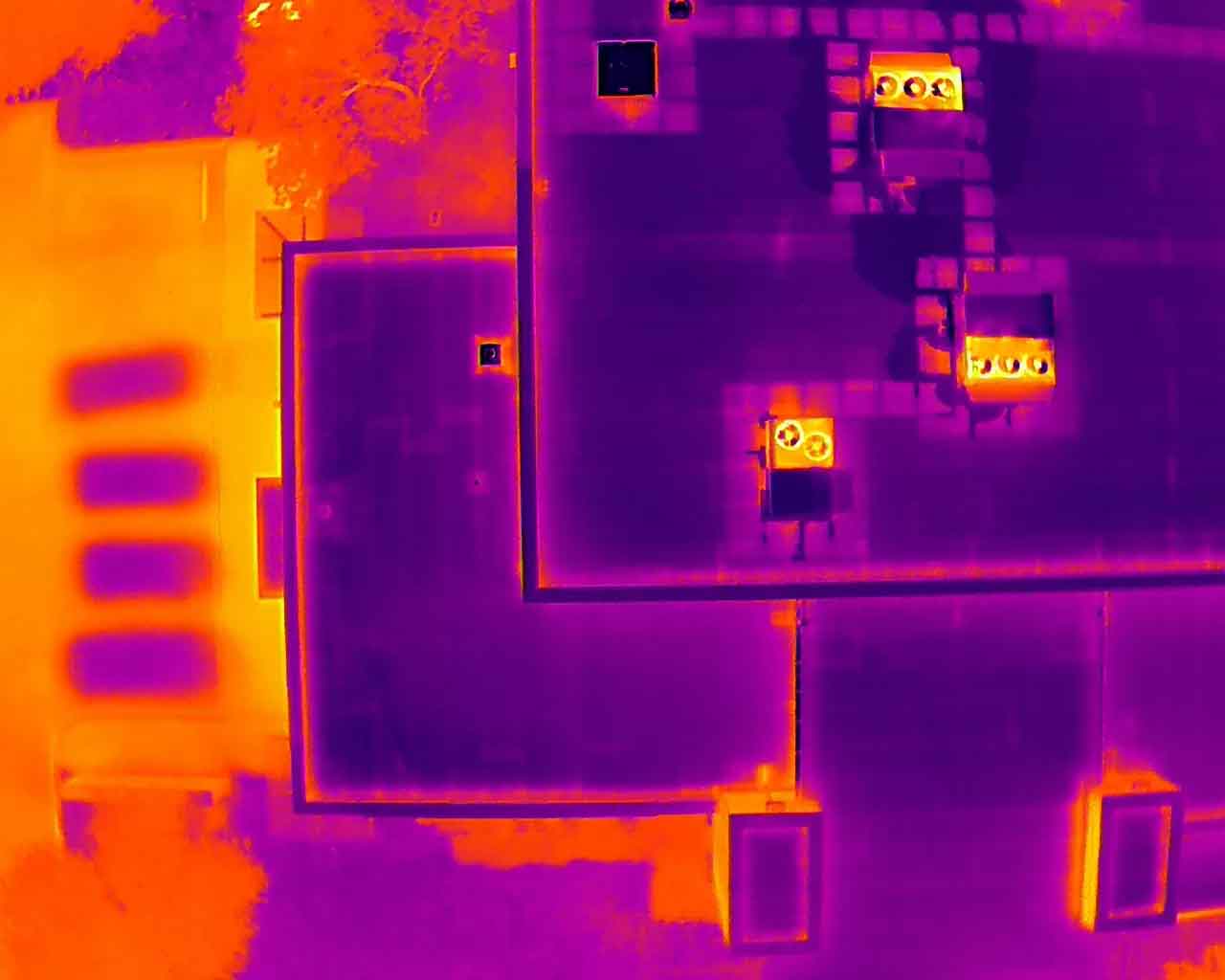 Therma Photo to show Affected spots